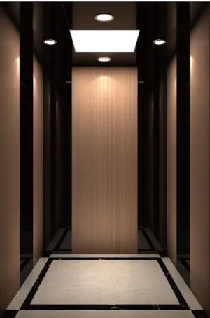 Residential Elevator